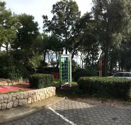 Sesar Krk - No. 2 Vinko *