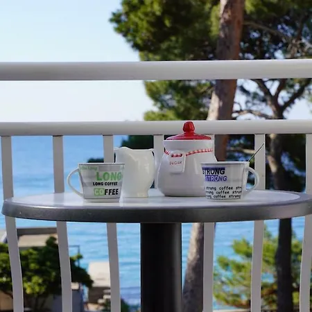 Sesar Krk - No. 2 Vinko * Krk Town